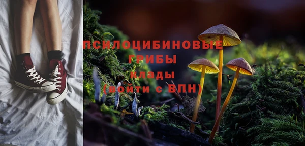 мдпв Лихославль