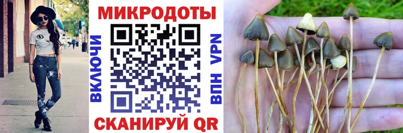 Галлюциногенные грибы прущие грибы  блэк спрут   Южно-Сухокумск 