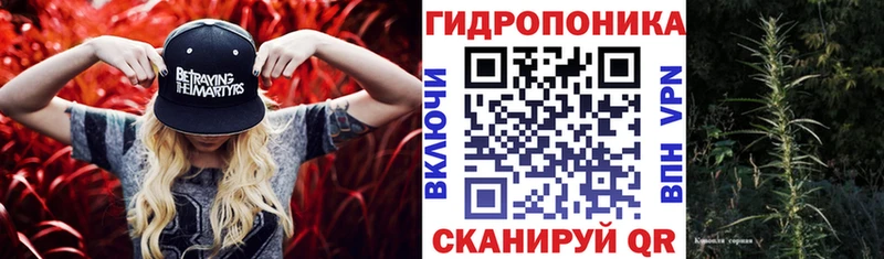 hydra как войти  Южно-Сухокумск  Канабис MAZAR 